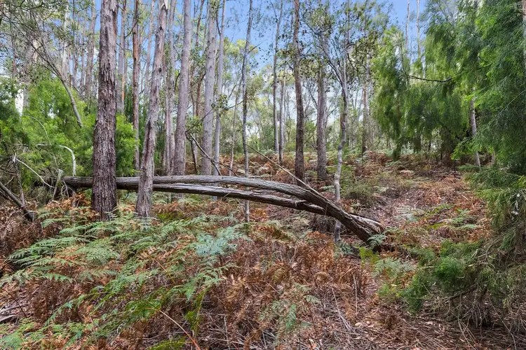 Sixth view of Homely land listing, Channel Highway, Flowerpot TAS 7163