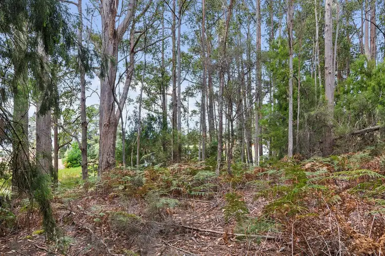 Seventh view of Homely land listing, Channel Highway, Flowerpot TAS 7163