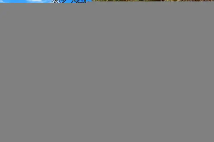 Third view of Homely rural property listing, 699 Clydebank Road, Clydebank VIC 3851