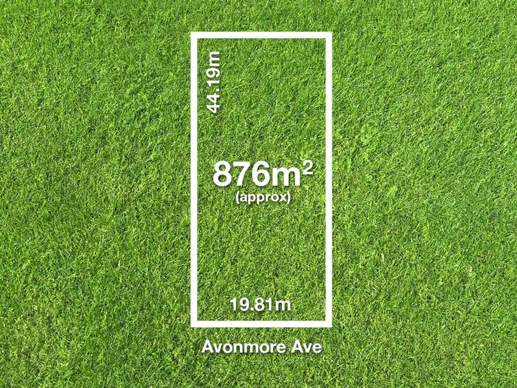 Second view of Homely house listing, 11 Avonmore Avenue, Trinity Gardens SA 5068