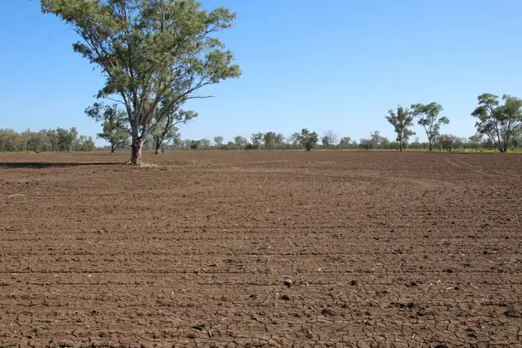 Seventh view of Homely rural property listing, 751 Boree Road - "Teralba", Moree NSW 2400