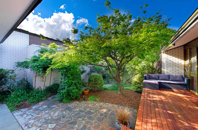 Main view of Homely house listing, 10 Dallachy Place, Page ACT 2614