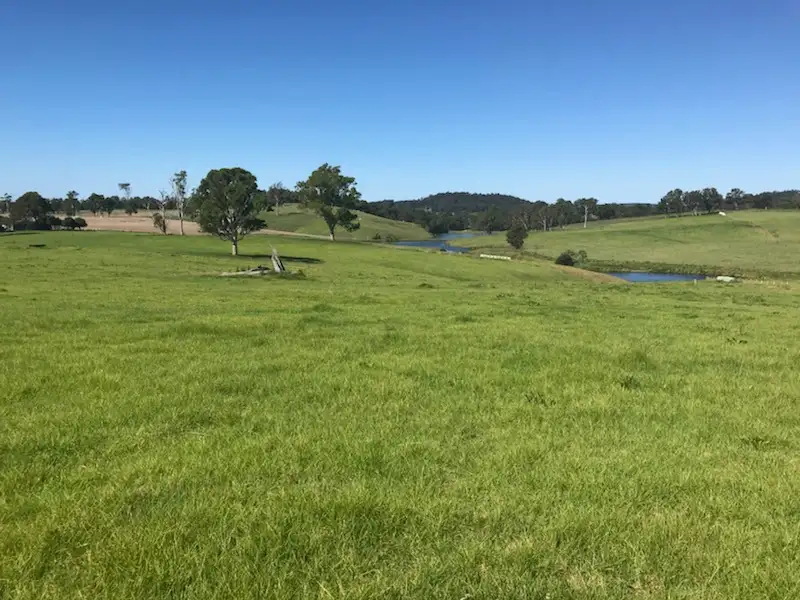 Main view of Homely land listing, Lot 2162 Coolagolite Road, Coolagolite NSW 2550