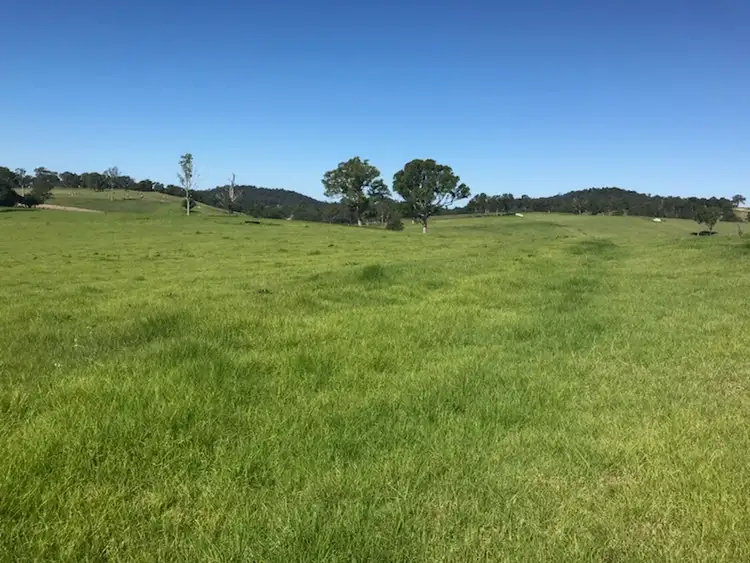 Second view of Homely land listing, Lot 2162 Coolagolite Road, Coolagolite NSW 2550