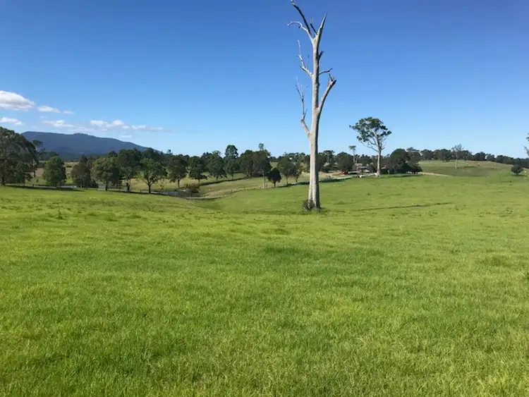 Third view of Homely land listing, Lot 2162 Coolagolite Road, Coolagolite NSW 2550