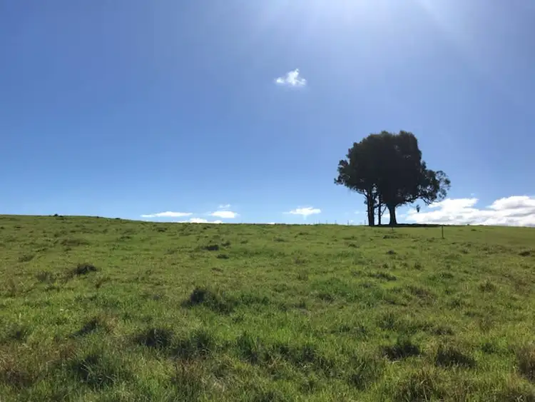 Second view of Homely rural property listing, Lot 2163 Coolagolite Link Road, Coolagolite NSW 2550