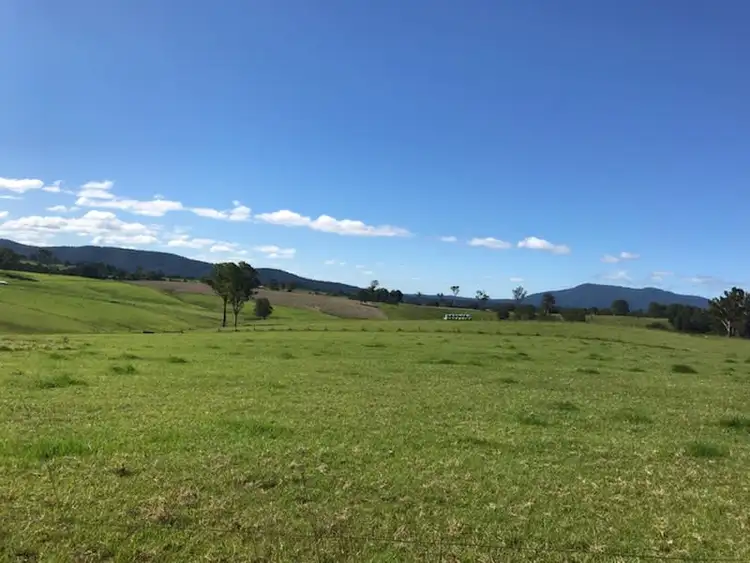 Third view of Homely rural property listing, Lot 2163 Coolagolite Link Road, Coolagolite NSW 2550