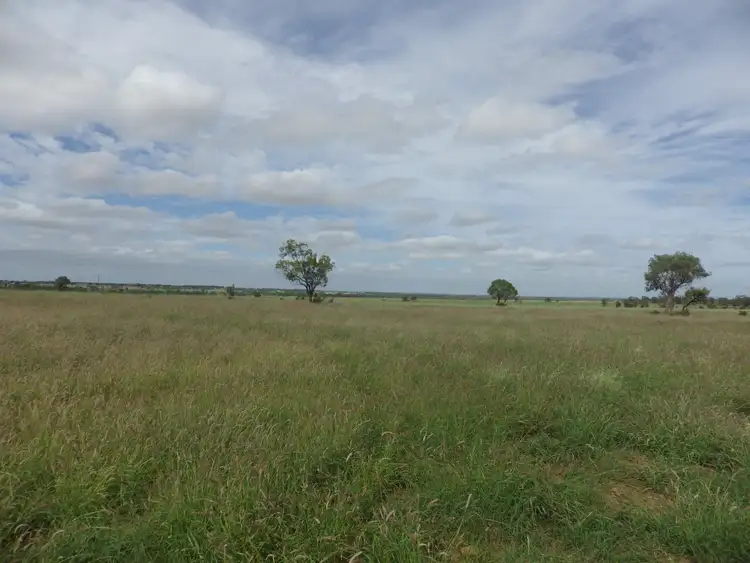 Seventh view of Homely rural property listing, 'Birindi' Mount Abundance Road, Roma QLD 4455