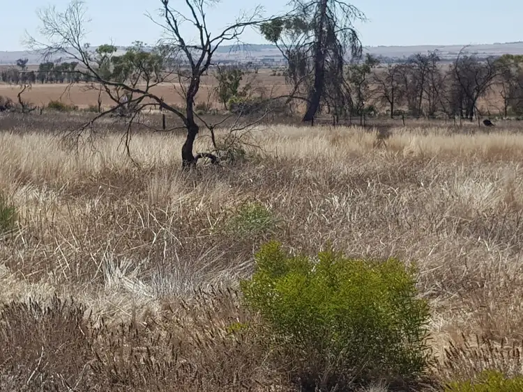 Fifth view of Homely land listing, 836 Tank Road, Barabba SA 5460