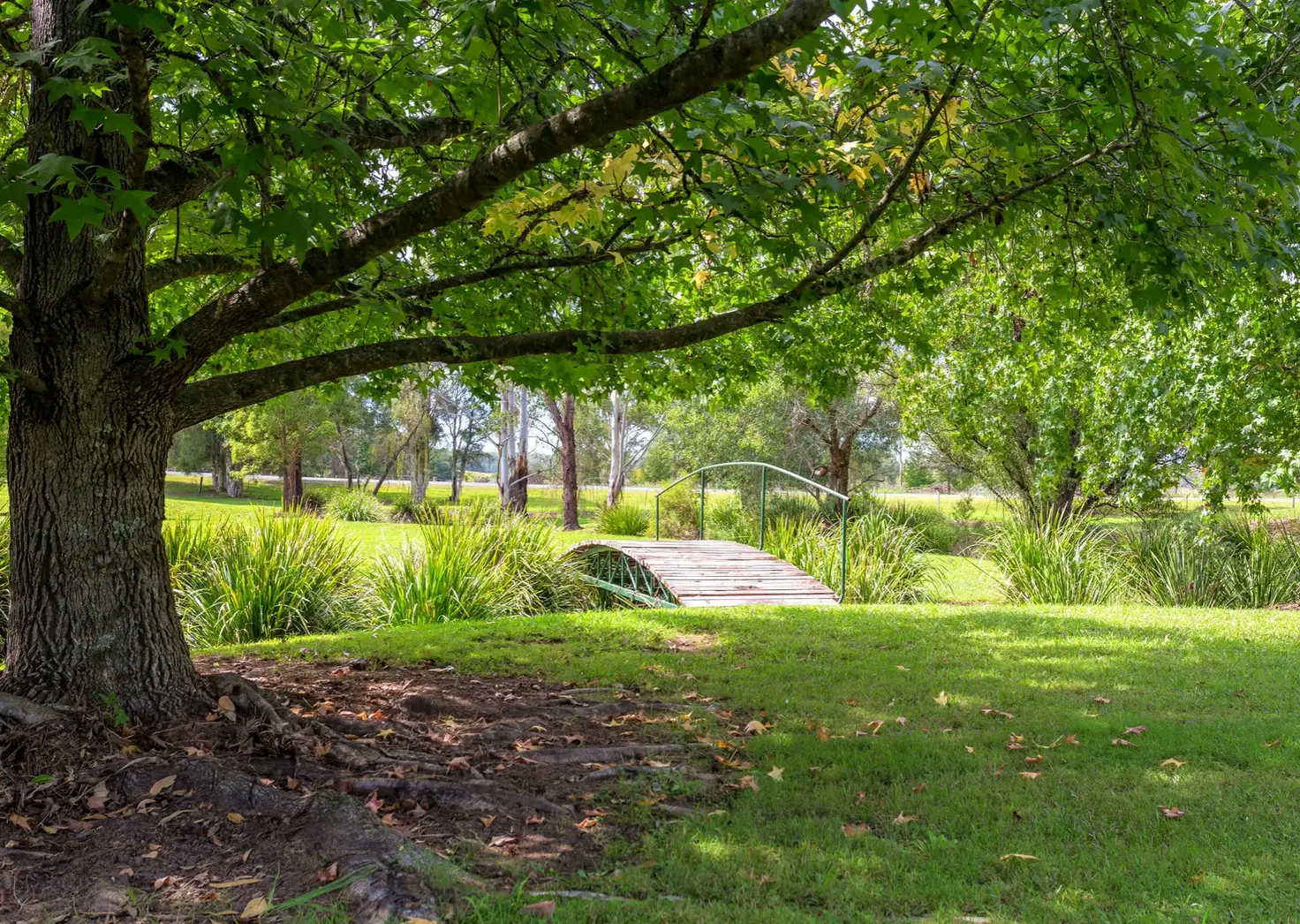 Main view of Homely rural property listing, 2 Betts Close, KILLABAKH via, Wingham NSW 2429