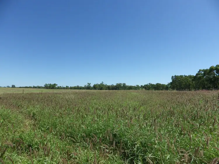 Lot 1 Alcurah Road, Roma QLD 4455