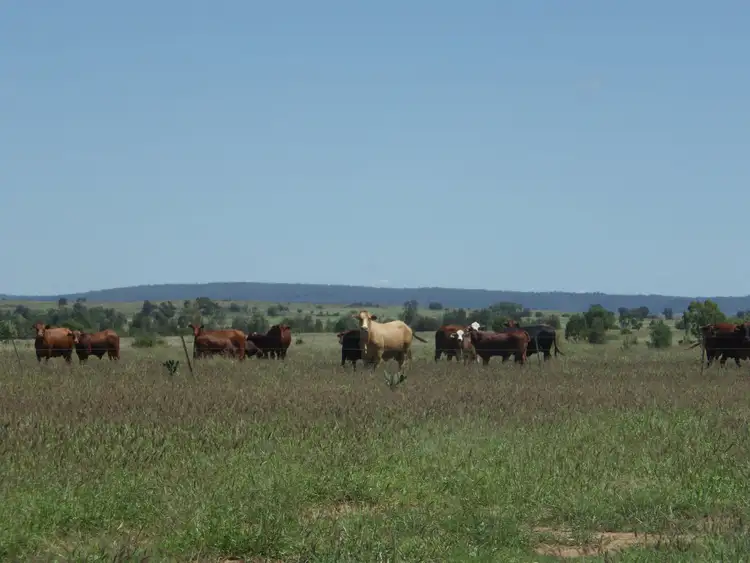 Fourth view of Homely rural property listing, Lot 1 Alcurah Road, Roma QLD 4455
