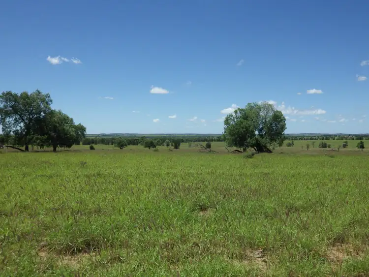 Fifth view of Homely rural property listing, Lot 1 Alcurah Road, Roma QLD 4455