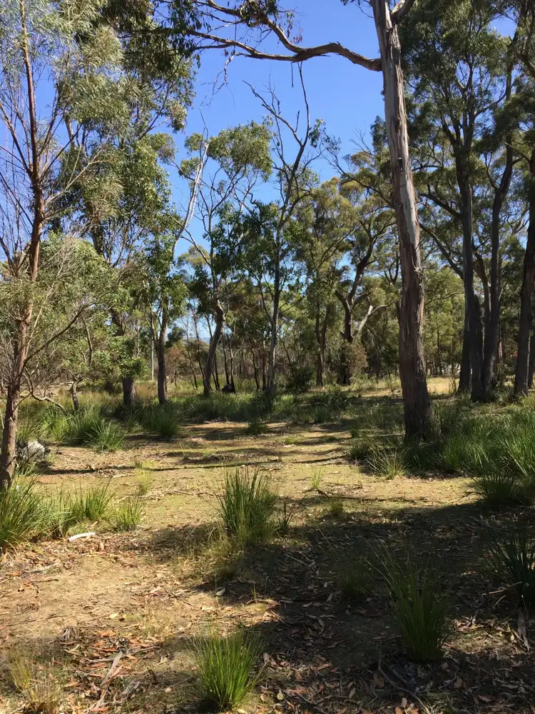 Second view of Homely land listing, 174 Rosedale Road, Bicheno TAS 7215