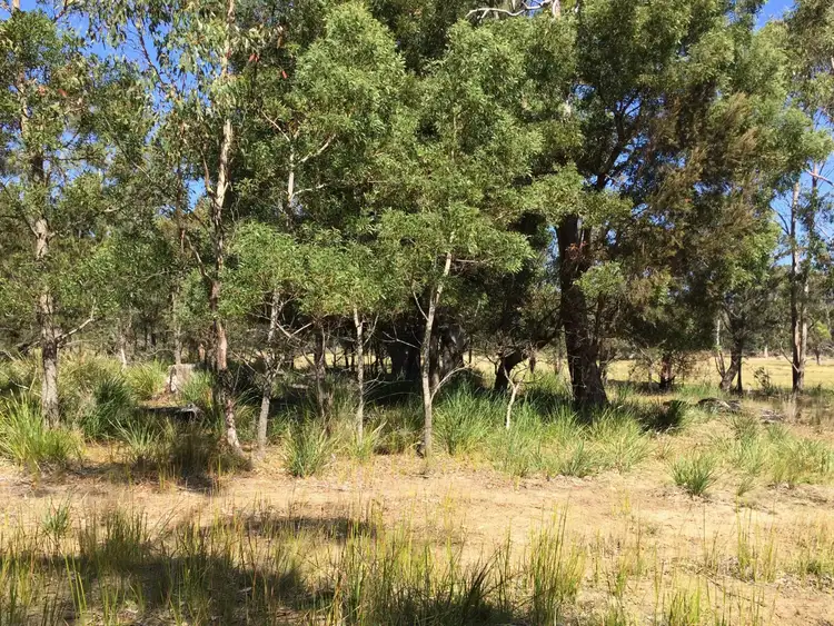 Third view of Homely land listing, 174 Rosedale Road, Bicheno TAS 7215