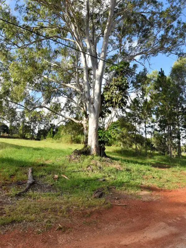 Second view of Homely land listing, 5 Fiji Street, Russell Island QLD 4184