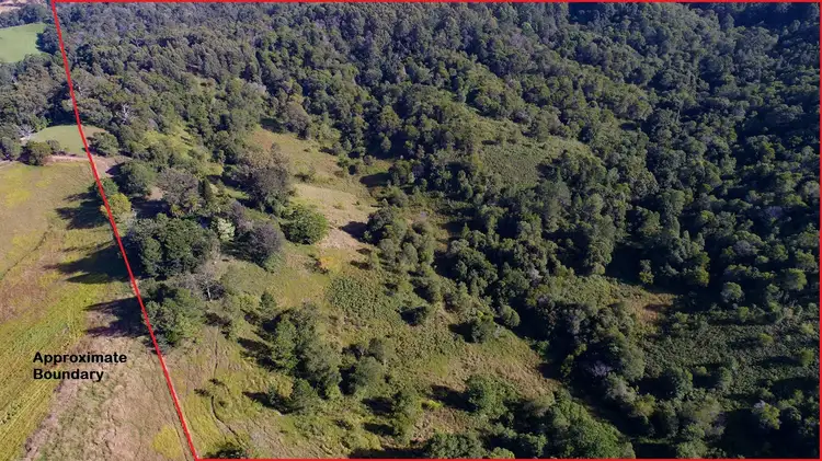 Fifth view of Homely house listing, 120 Proctors Road, Talarm NSW 2447