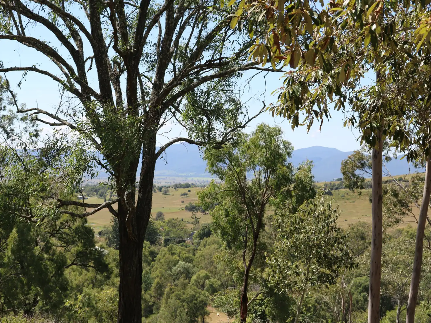 Main view of Homely rural property listing, Lot 5 Linkes Lane, Mount Beppo QLD 4313