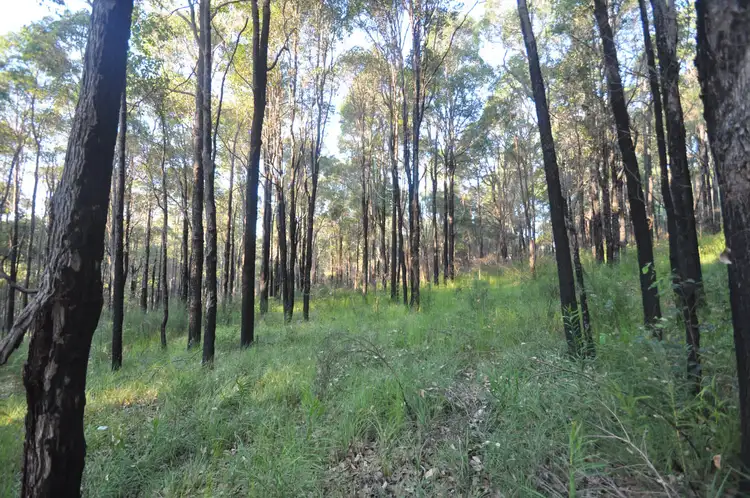 Sixth view of Homely land listing, 116 Brockman Street, Pemberton WA 6260