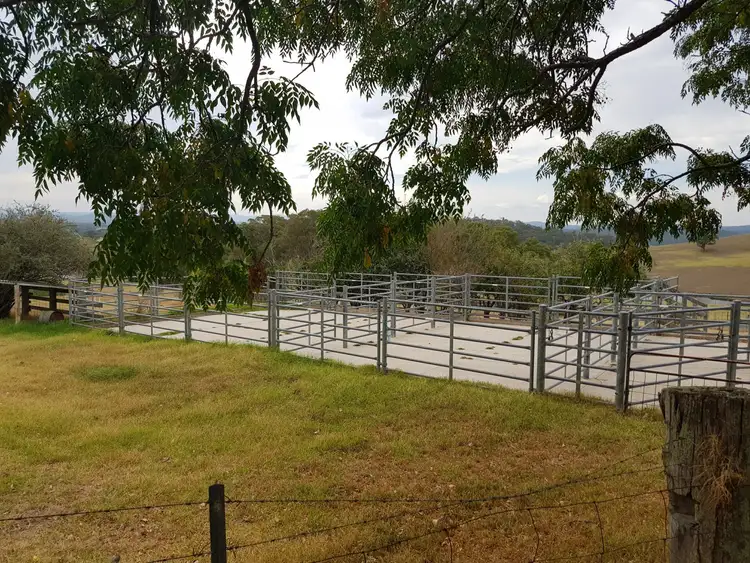 Second view of Homely rural property listing, 665 Deptford Road, Clifton Creek VIC 3875