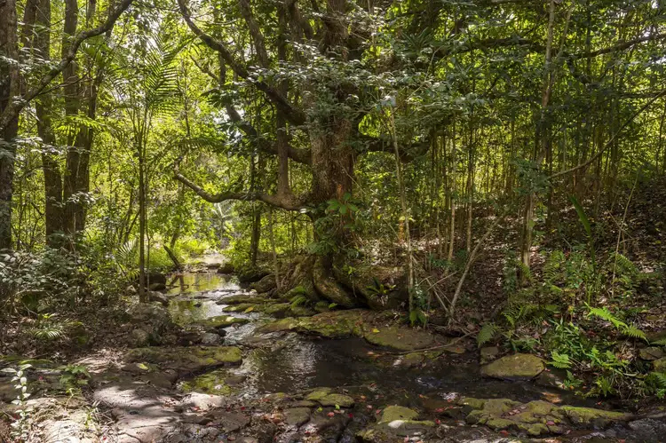 Fifth view of Homely house listing, 215 Cowlong Road, Mcleans Ridges NSW 2480