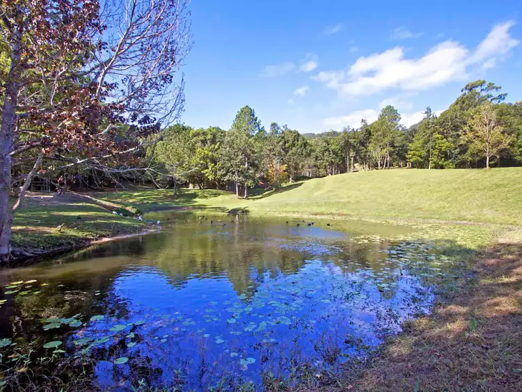 Sixth view of Homely house listing, 1227 Tallebudgera Creek Road, Tallebudgera Valley QLD 4228