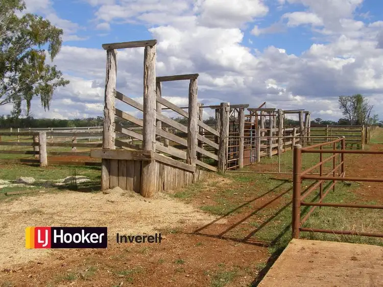 Seventh view of Homely rural property listing, 76 Thomas Lane, Inverell NSW 2360