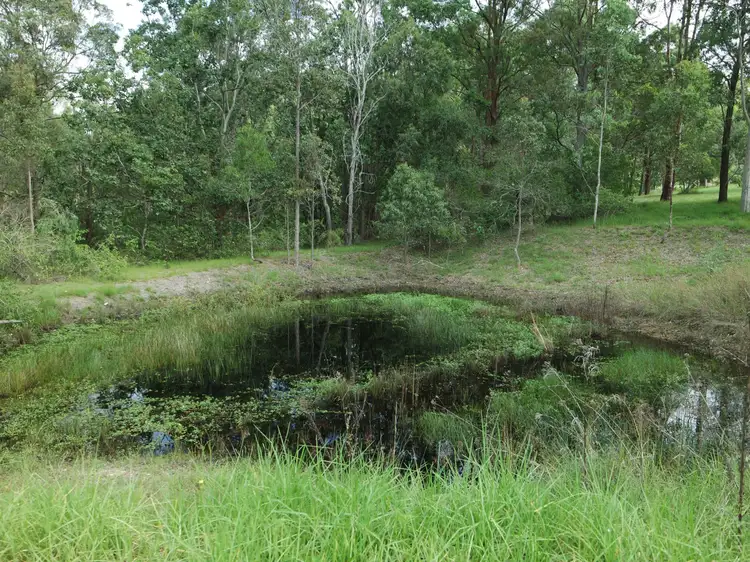 Seventh view of Homely house listing, 11 Kingfisher Drive, Wingham NSW 2429