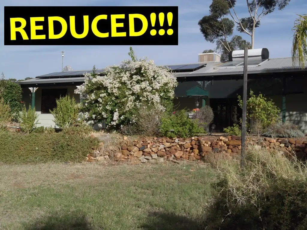 Main view of Homely house listing, 21 Hassell Close, Toodyay WA 6566
