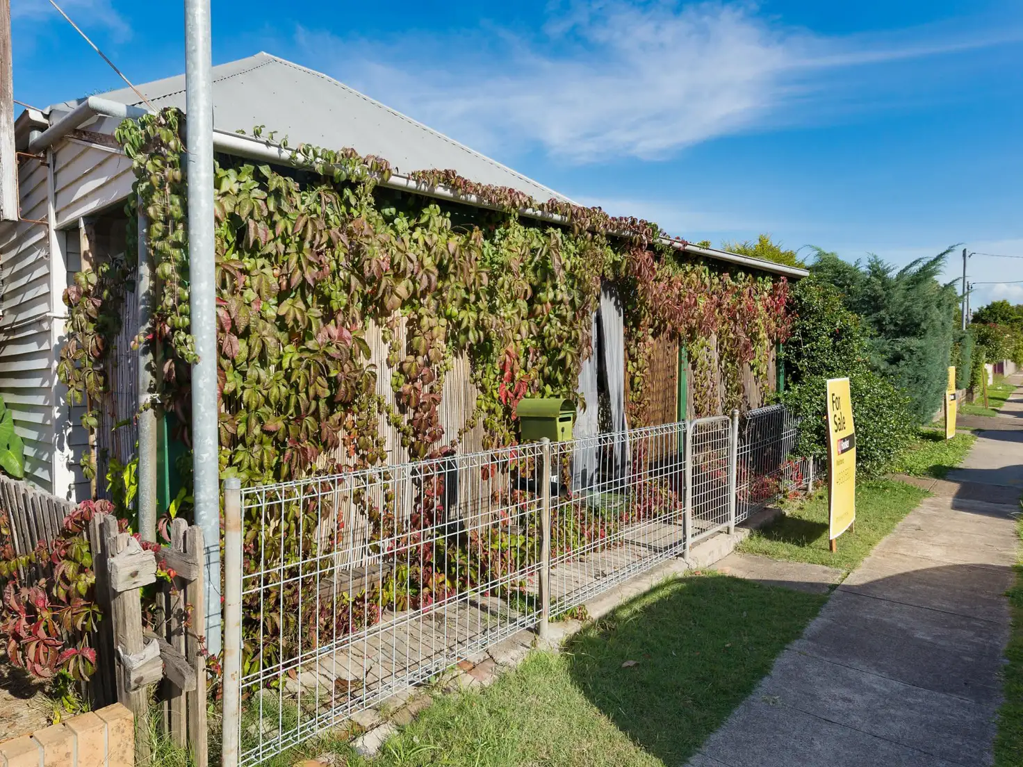Main view of Homely house listing, 49 Bulwer Street, Maitland NSW 2320