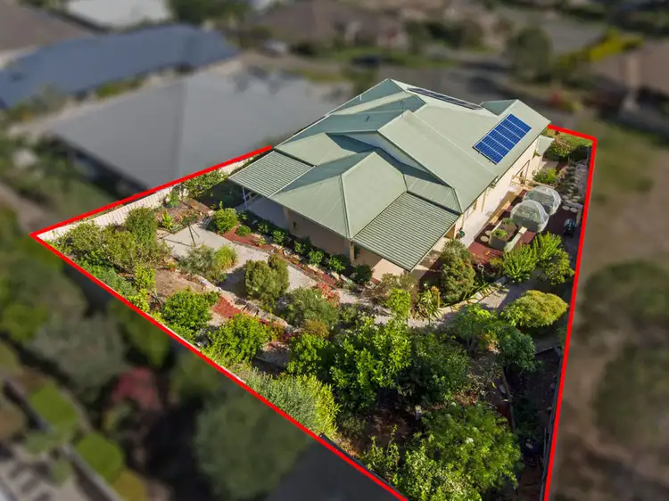 Fifth view of Homely house listing, 6 Byram Court, Ormeau Hills QLD 4208