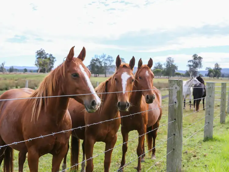 Third view of Homely house listing, 370 Six Mile Road, Eagleton NSW 2324