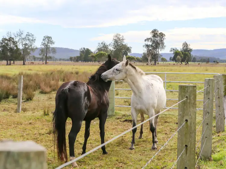 Sixth view of Homely house listing, 370 Six Mile Road, Eagleton NSW 2324