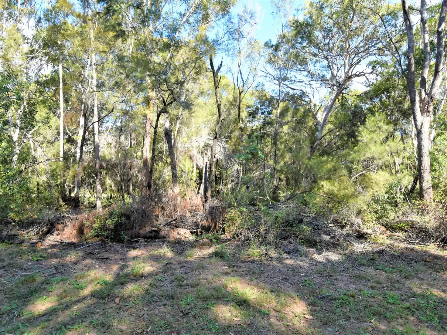 Main view of Homely land listing, 14 Coleus Street, Russell Island QLD 4184