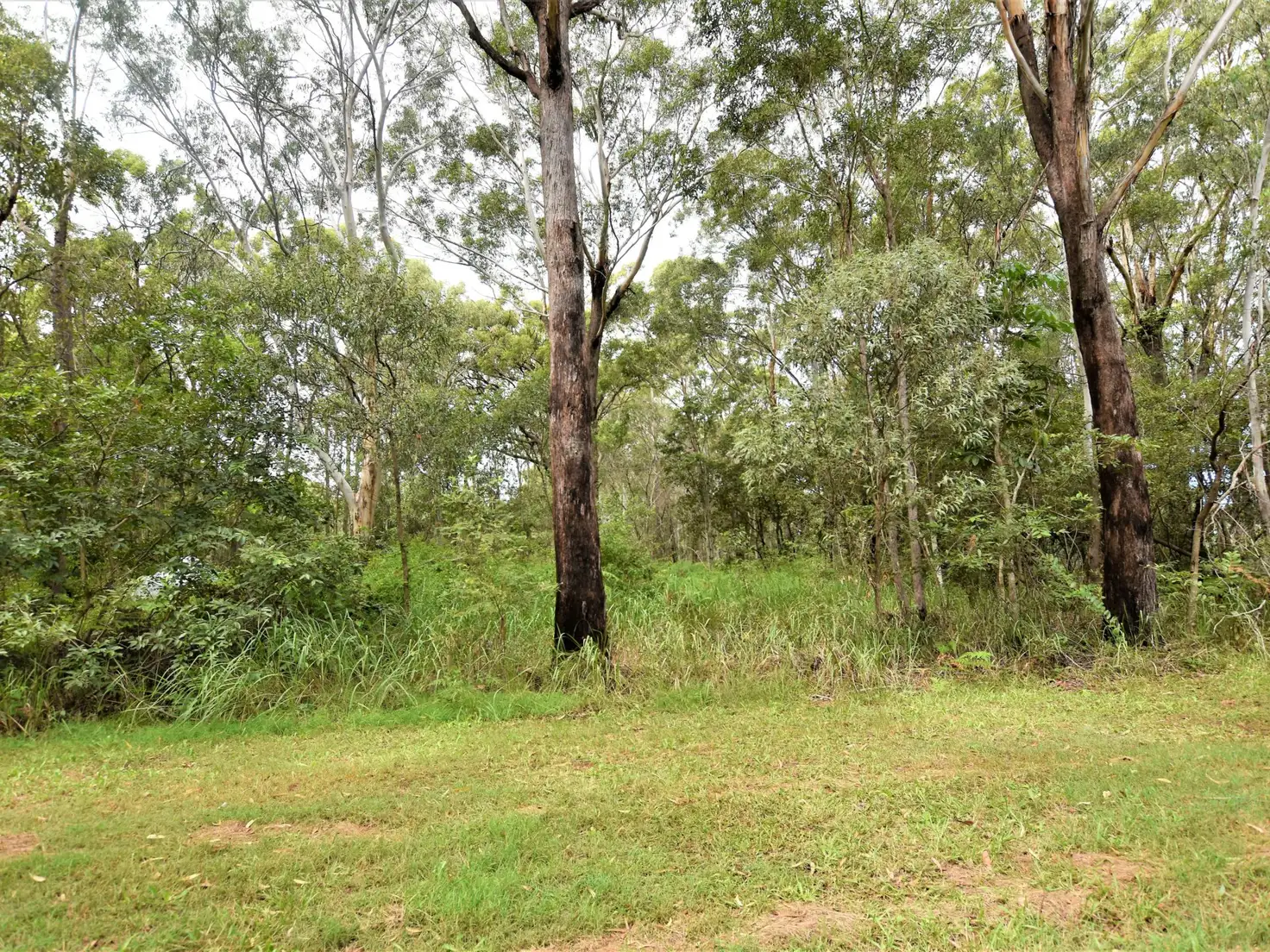Main view of Homely land listing, 6 Lawson Street, Russell Island QLD 4184