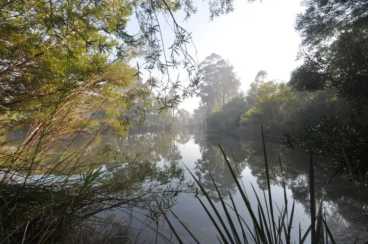 Fourth view of Homely rural property listing, 341 Piggott Road (Collins), Pemberton WA 6260