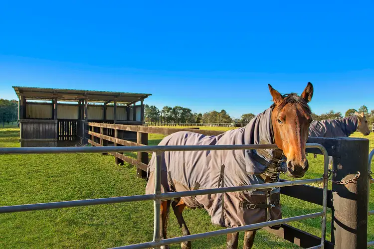 Sixth view of Homely rural property listing, 45 Lackersteens Road, Somersby NSW 2250