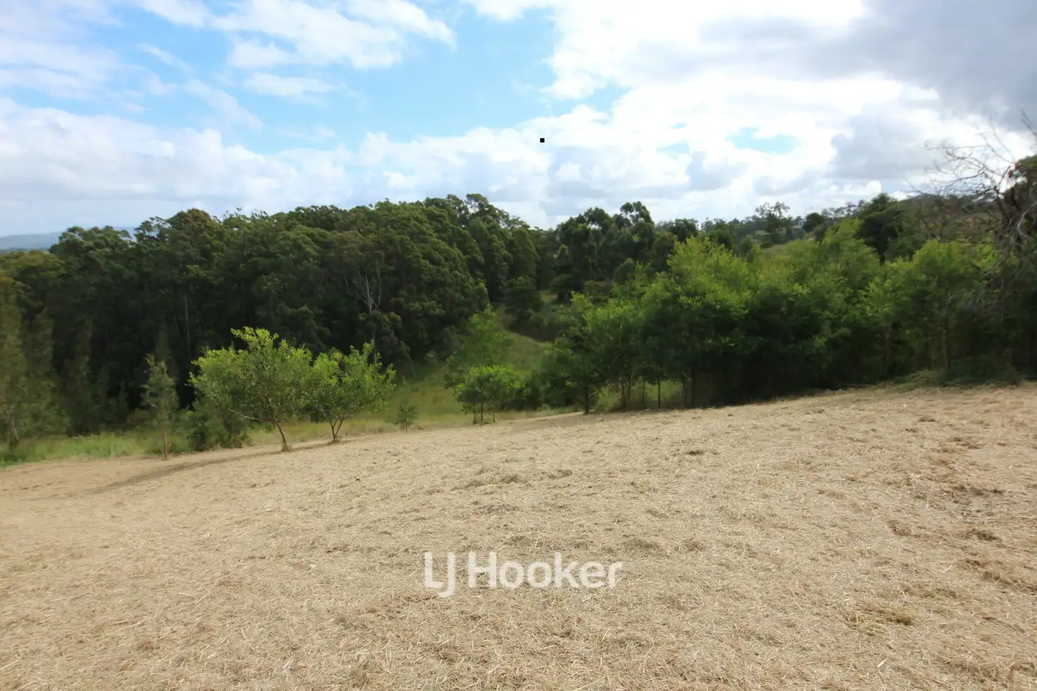 Main view of Homely land listing, 25 Lorikeet Way, Tallwoods Village NSW 2430