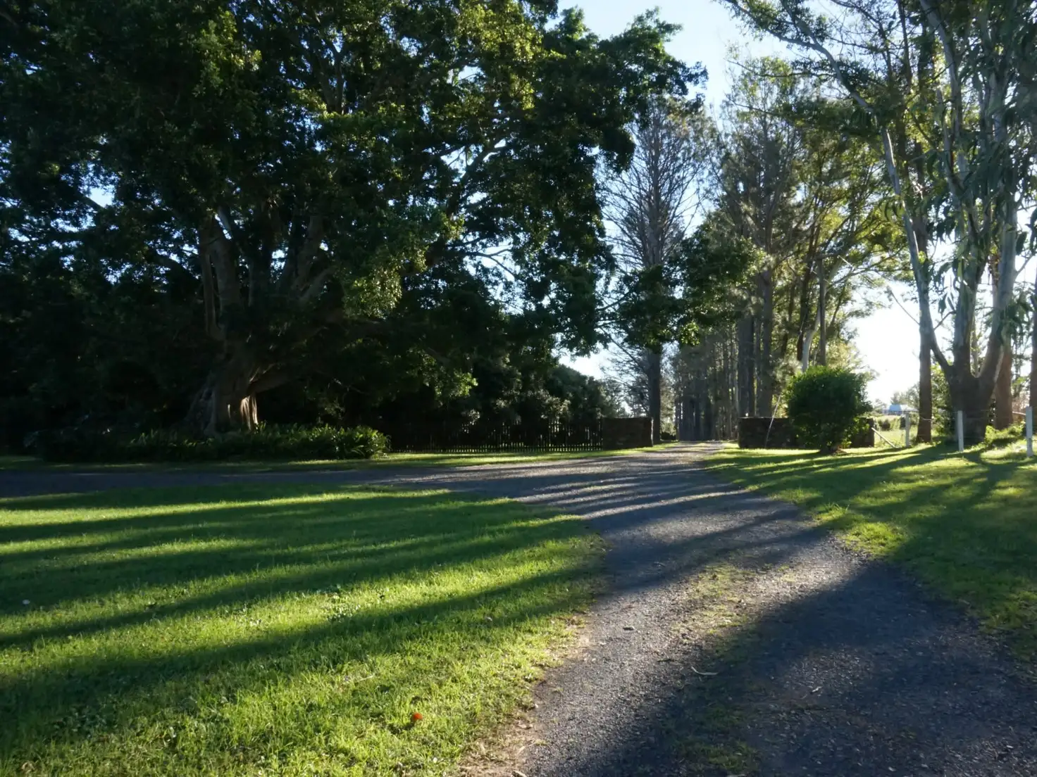 Main view of Homely house listing, 836 Fernleigh Road, Brooklet NSW 2479