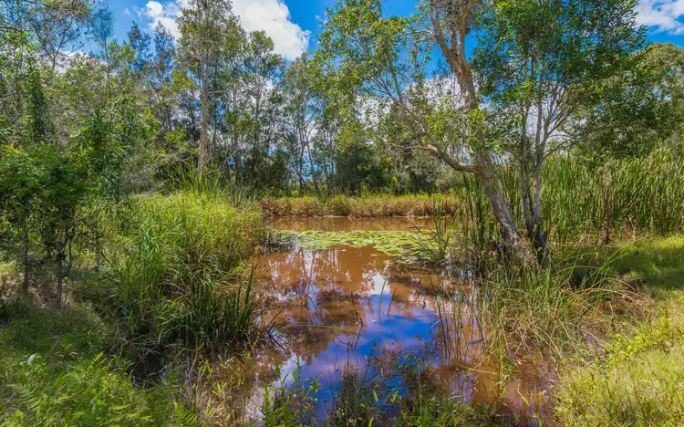 Third view of Homely rural property listing, Lot 1 Byrons Lane, Tyndale NSW 2460