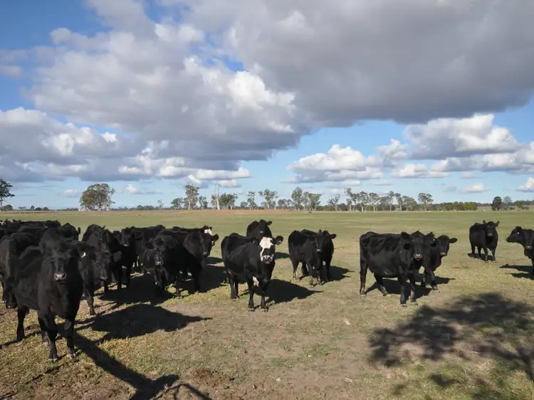 Fourth view of Homely rural property listing, 555 Baudinetts Road, Lindenow South VIC 3875