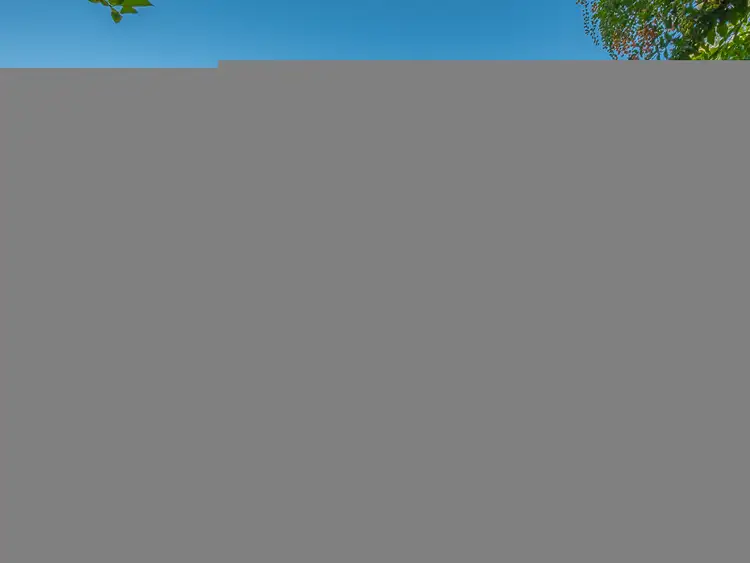 Main view of Homely house listing, 81 Delray Road, Mothar Mountain QLD 4570