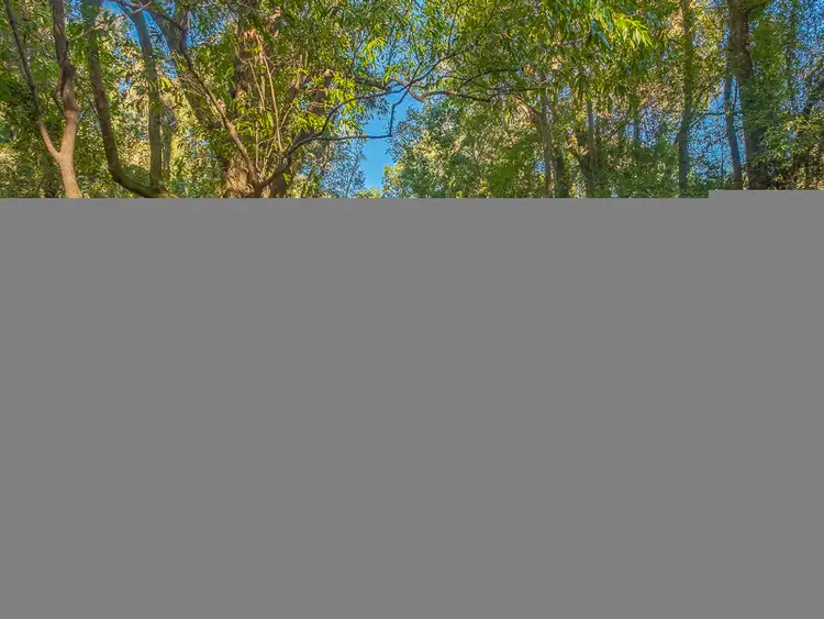 Second view of Homely house listing, 81 Delray Road, Mothar Mountain QLD 4570