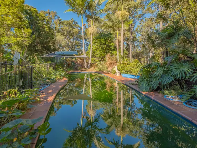 Sixth view of Homely house listing, 81 Delray Road, Mothar Mountain QLD 4570