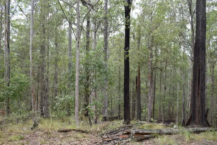 Seventh view of Homely land listing, Lot 4 Kosekai Road, Macksville NSW 2447