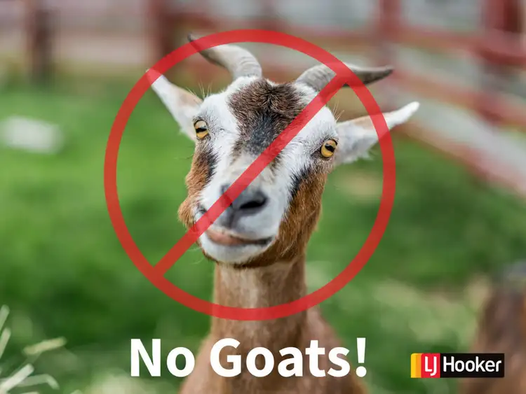 54 Worongary Road, Worongary QLD 4213