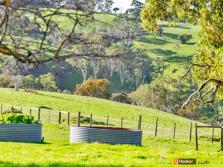 Third view of Homely house listing, 131 Kelly Hill Road (Humbug Scrub), One Tree Hill SA 5114