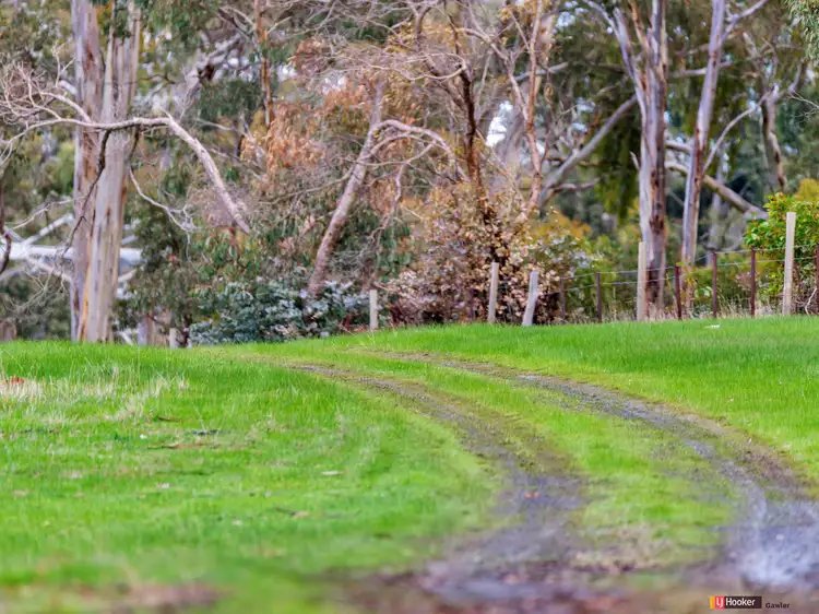 Fifth view of Homely house listing, 131 Kelly Hill Road (Humbug Scrub), One Tree Hill SA 5114