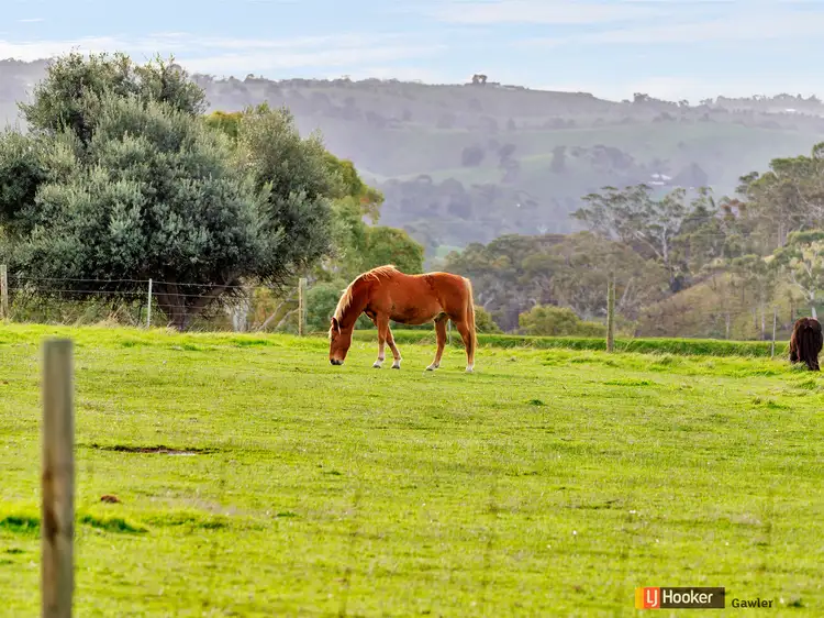 Sixth view of Homely house listing, 131 Kelly Hill Road (Humbug Scrub), One Tree Hill SA 5114