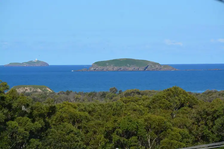 Main view of Homely house listing, 8 Houlahan Close, Woolgoolga NSW 2456